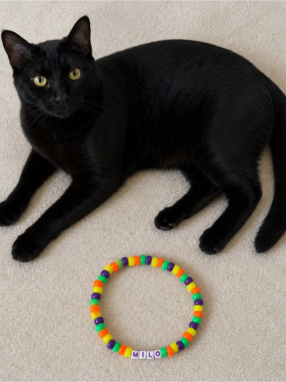 Personalized “Milo” Neon Beaded Cat Collar – 11” Stretch Pet Necklace